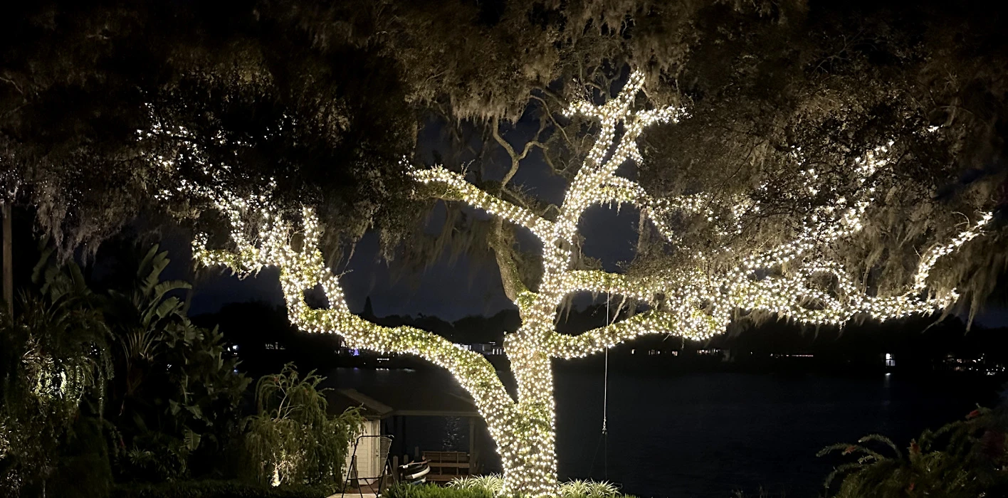 Celebration Christmas Light Installation