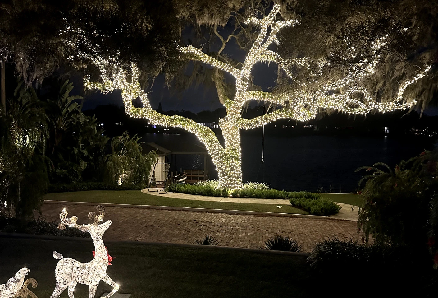 Lake Nona Christmas Light Installation
