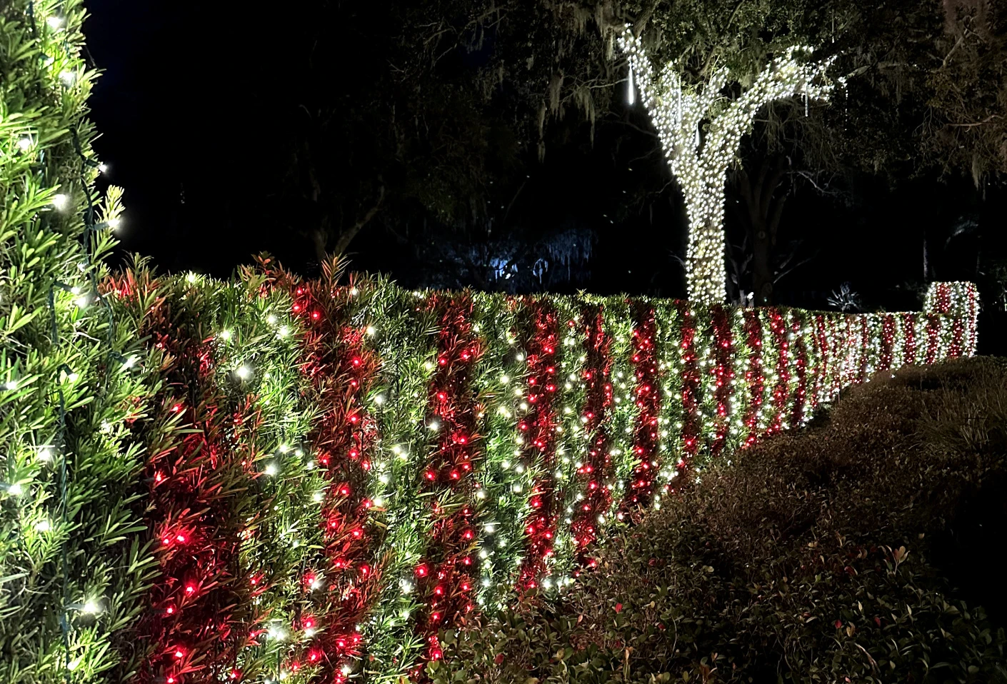 Windermere Christmas Light Installation