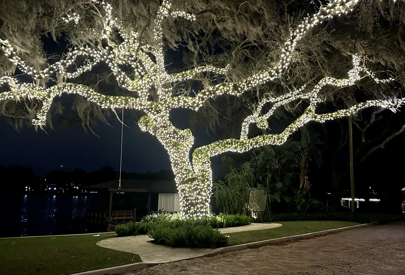 Windermere Christmas Light Installation