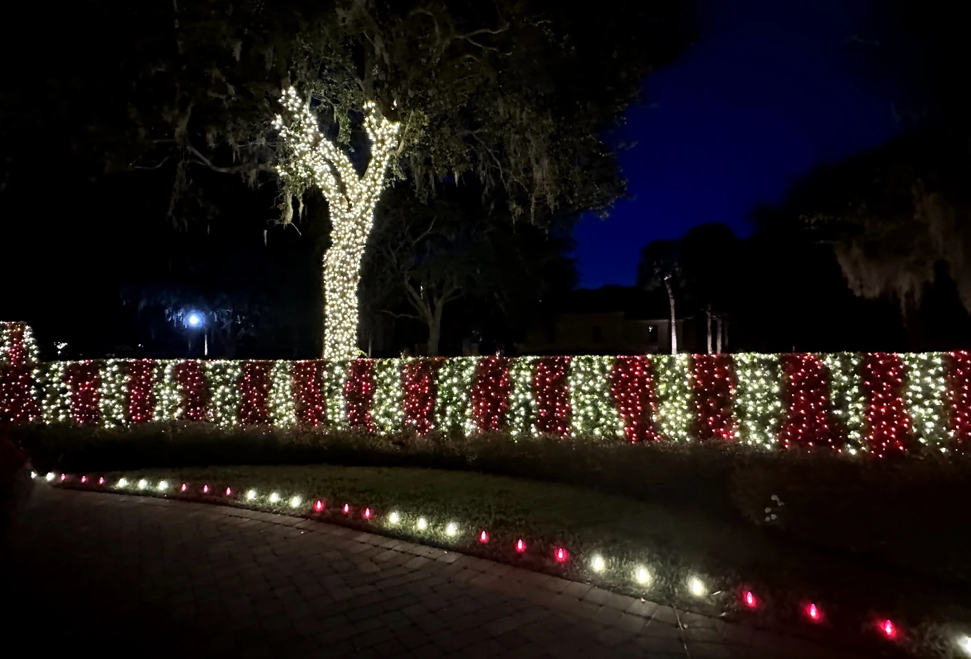 Windermere Christmas Light Installation