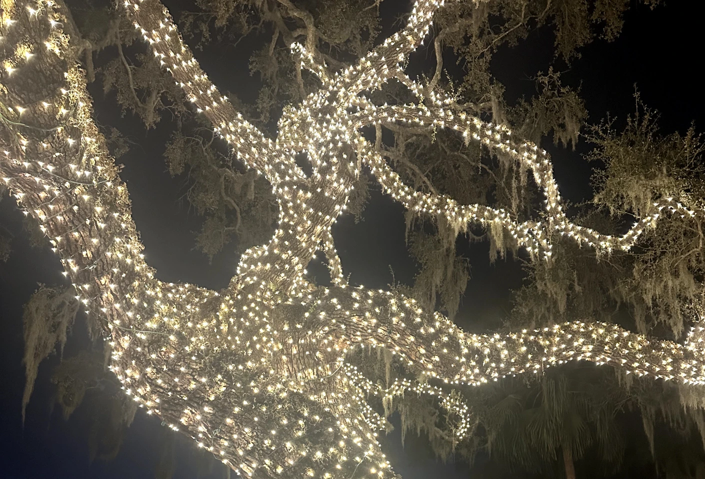Windermere Christmas Light Installation